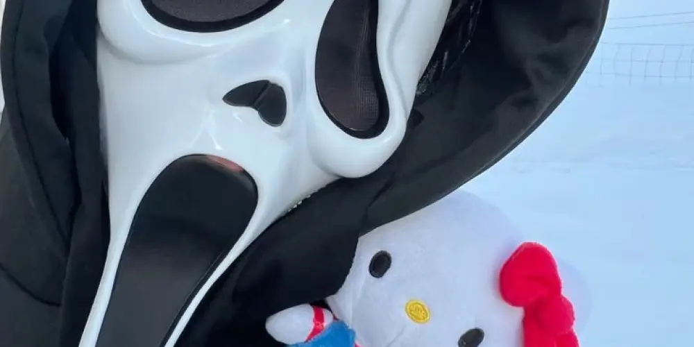 Imagem do grupo de WhatsApp 𝑫𝑨𝑹𝑲 𝑹𝑶𝑨𝑺𝑻 𝑺𝑶𝑪𝑰𝑬𝑻𝒀𝑺 ♰🕷