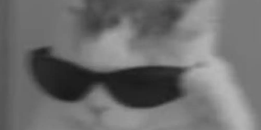 Imagem do grupo de WhatsApp *𝚂𝙸𝙽𝚃𝙾𝙽𝚒𝙰*™