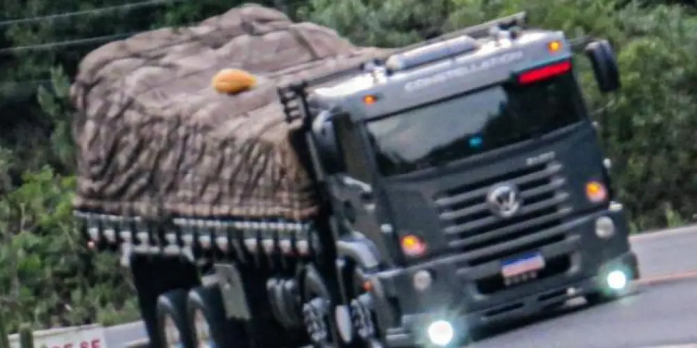 Imagem do grupo de WhatsApp 𝐕𝐈𝐃𝐀 𝐃𝐄 𝐂𝐀𝐌𝐈𝐍𝐇𝐎𝐍𝐄𝐈𝐑𝐎 🚛💨