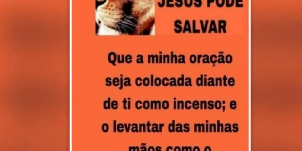 Imagem do grupo de WhatsApp 𝙂𝙍𝙐𝙋𝙊 𝘿𝙀̂ 𝙊𝙍𝘼𝘾̧𝘼̃𝙊 𝙎𝙊́ 𝙅𝙀𝙎𝙐𝙎 𝙋𝙊𝘿𝙀 𝙎𝘼𝙇𝙑𝘼𝙍👑