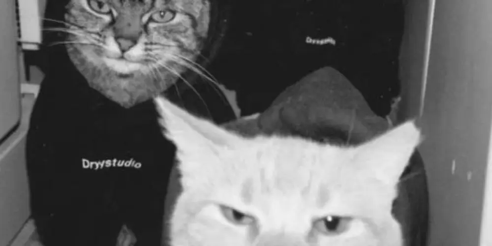 Imagem do grupo de WhatsApp 💫 『 𝐆𝐑𝐔𝐏𝐎✦𝐆𝐄𝐑𝐀𝐋 』💫