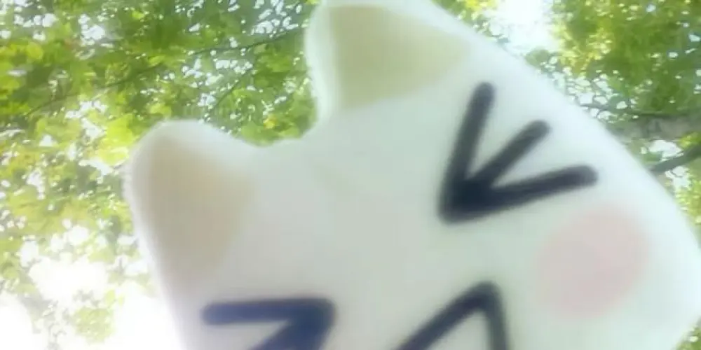 Imagem do grupo de WhatsApp 𝓞𝘯𝘭𝘺 𝘴𝘵𝘢𝘺 !! ✦ (⁎˃ᴗ˂⁎) ♥︎