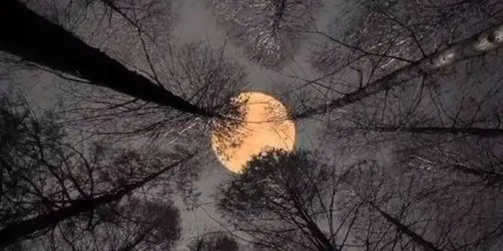 Imagem do grupo de WhatsApp *𓂀⫷ 𝕆𝔽𝕀ℂ𝕀ℂ𝔼𝕃 𝔻𝔸 ℝ𝔼𝕊𝔼ℕℍ𝔸 ⫸𓂀