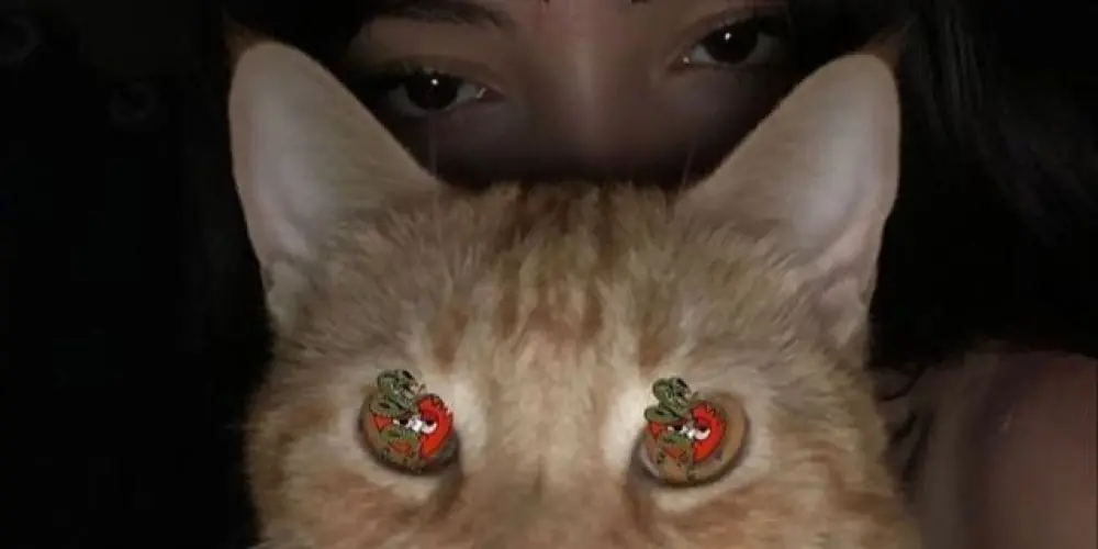 Imagem do grupo de WhatsApp ★彡【ＭａＦｉＡﾠ】彡★