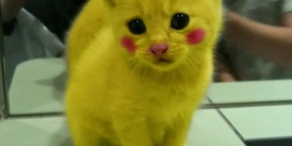 Imagem do grupo de WhatsApp 𝗴𝗿𝘂𝗽𝗼 𝗱𝗲 𝗮𝗺𝗶𝘇𝗮𝗱𝗲✌️