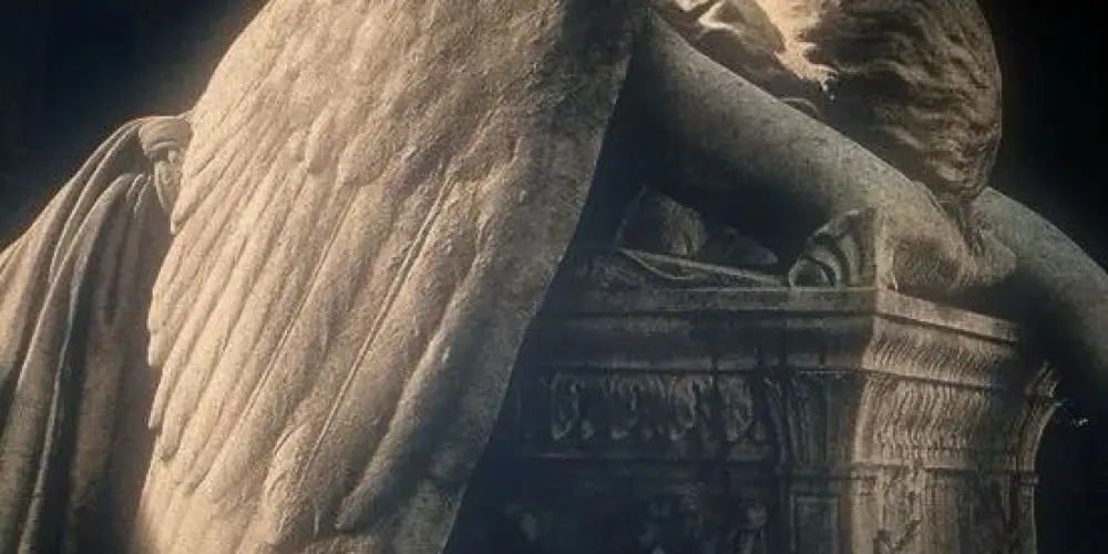 Imagem do grupo de WhatsApp 𝐃𝐚𝐫𝐤 𝐥𝐢𝐛𝐫𝐚𝐫𝐲 🗝️