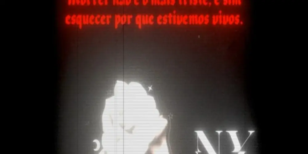 Imagem do grupo de WhatsApp ミ𝐍𝐗彡