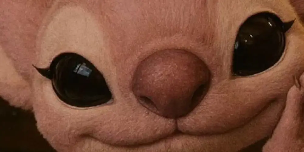 Imagem do grupo de WhatsApp ▒𝔾𝕚𝕣𝕝𝕤 𝕗𝕣𝕚𝕖𝕟𝕕𝕤▒