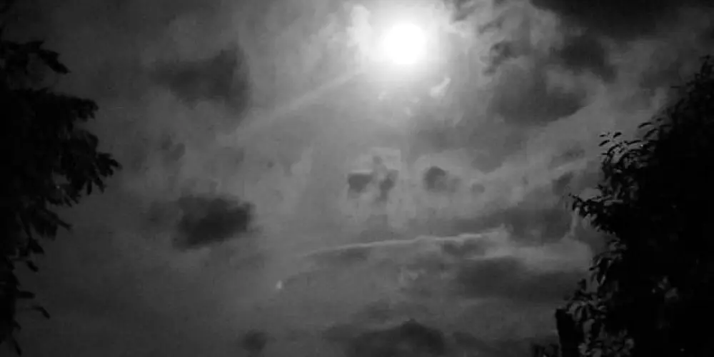 Imagem do grupo de WhatsApp 𝘸𝘦𝘣 𝘧𝘳𝘪𝘦𝘯𝘥𝘴