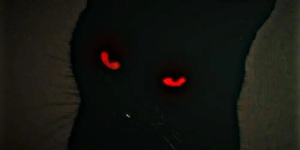 Imagem do grupo de WhatsApp #˖ ݁ ݁˖¿𝑷⋀𝑷ᓍ? ¿𝑭𝑼𝑹⋀𝑫Ⓞ¿݁ ݁˖#