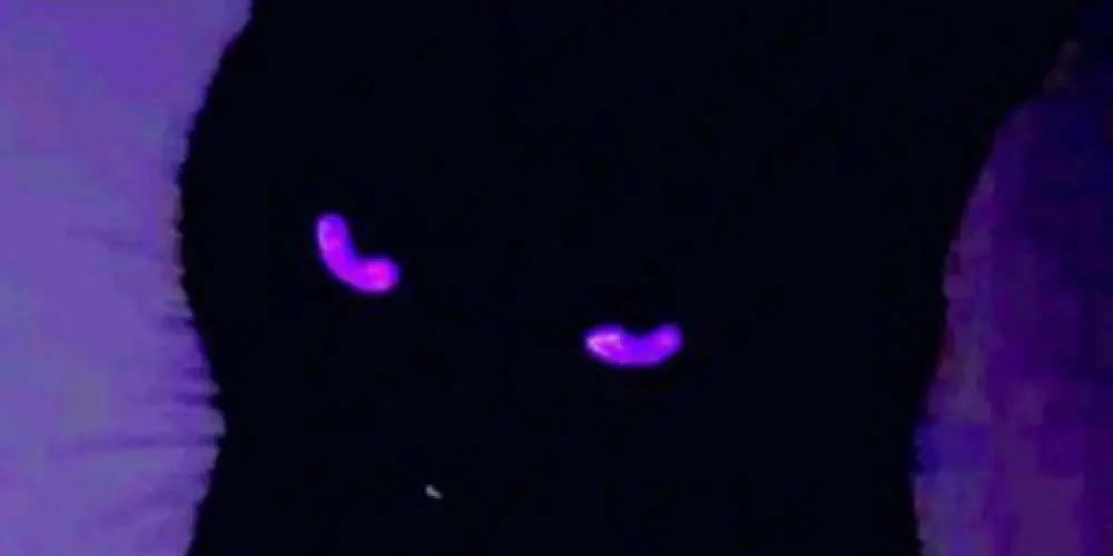 Imagem do grupo de WhatsApp ˖ ݁ ݁˖¿❍𝐵ׅ꯱𝐶𝑈𝑅Ⓔ¿݁ ݁˖