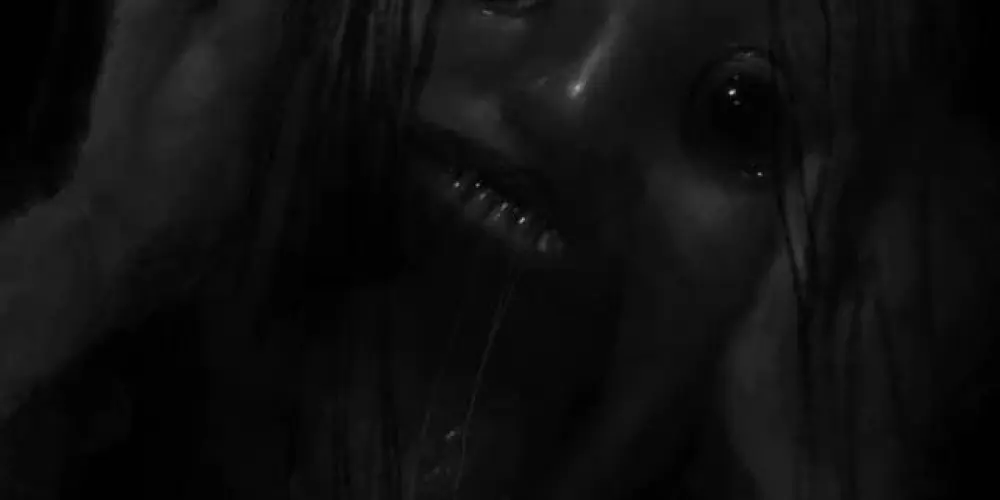 Imagem do grupo de WhatsApp 𝕲𝖔𝖗𝖊 𝖓𝖔𝖙𝖎́𝖈𝖎𝖆𝖘 𝖈𝖔𝖒 𝖚𝖒𝖆 𝖋𝖔𝖓𝖙𝖊 𝖉𝖊 𝖙𝖊𝖗𝖗𝖔𝖗 𝖉𝖎𝖛𝖊𝖗𝖘𝖆𝖘 𝖉𝖔𝖓𝖙𝖊𝖘"