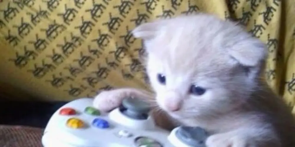 Imagem do grupo de WhatsApp 𝚁𝚎𝚜𝚙𝚊𝚠𝚗 𝙰𝚛𝚎𝚊 🎮👾