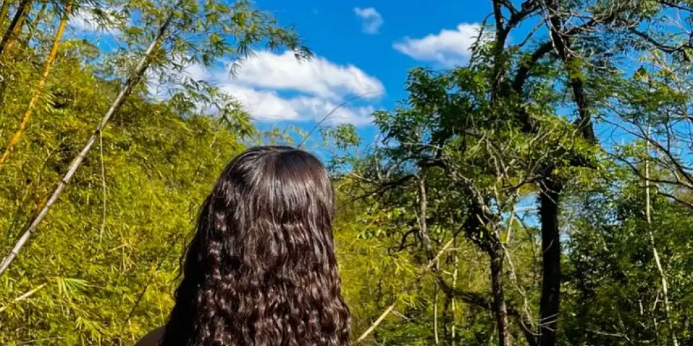 Imagem do grupo de WhatsApp 🍁𝖎𝖓𝖘𝖆𝖓𝖎𝖙𝖞 𝖒𝖊𝖓𝖙𝖆𝖑🍁