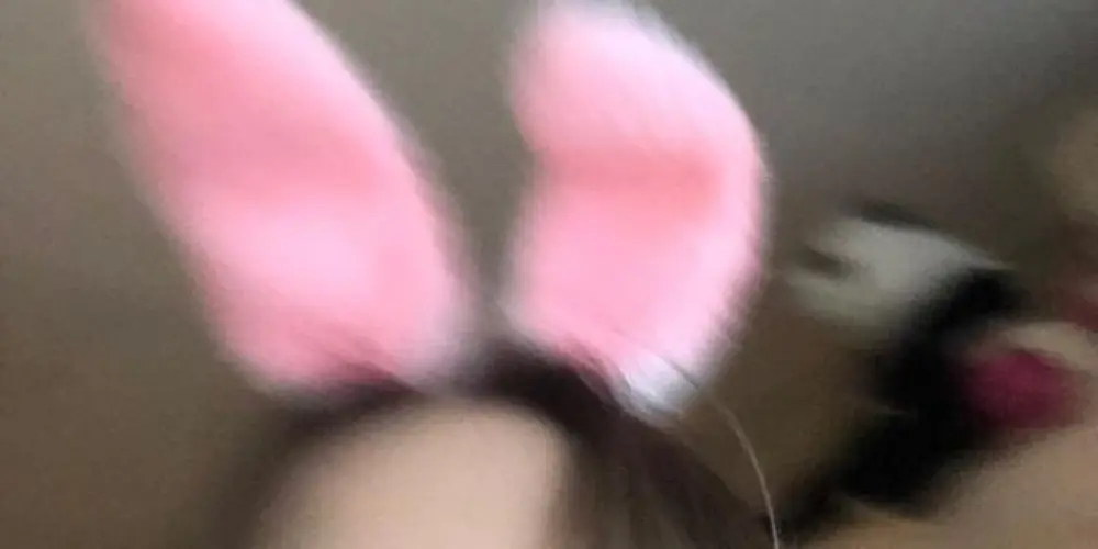 Imagem do grupo de WhatsApp ░⃟⃛⏤͟͟͞͞𝐋𝚯𝐒 ͢𝐀𝐍𝐆𝚵𝐋𝚵𝐒𖥨