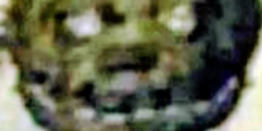 Imagem do grupo de WhatsApp ꧁🔥𝑼𝒏𝒊𝒅𝒐𝒔 𝑷𝒆𝒍𝒐 𝑪𝒂𝒐𝒔🔥꧂