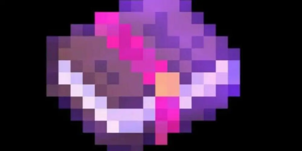 Imagem do grupo de WhatsApp 𝐏 𝐈 𝐗 𝐄 𝐋