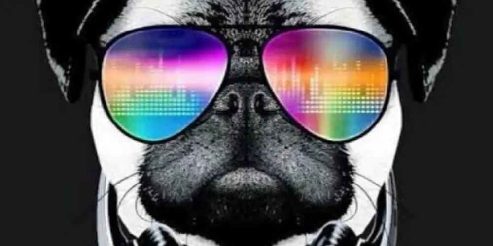 Imagem do grupo de WhatsApp 𝕿𝖗𝖔𝖕𝖆_𝖉𝖆_𝖗𝖊𝖘𝖊𝖓𝖍𝖆