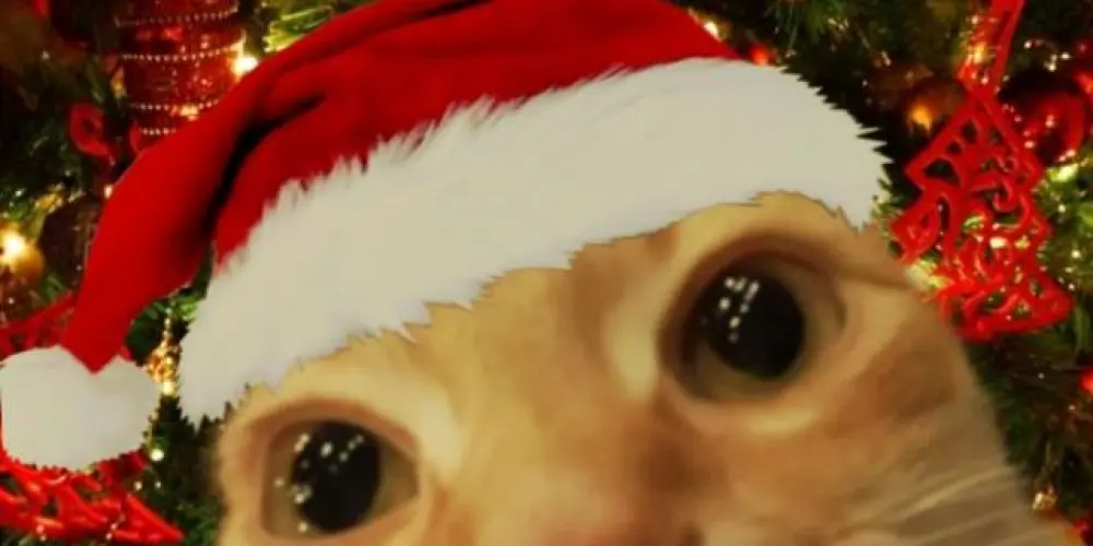 Imagem do grupo de WhatsApp 𝑷𝑹𝑶𝑱𝑬𝑻𝑶 𝑿  🎅🏻