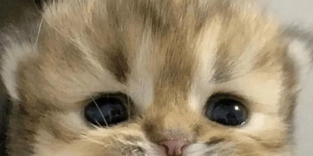 Imagem do grupo de WhatsApp 𝐅𝐫𝐢𝐞𝐧𝐝𝐬 >𝟑 🧸