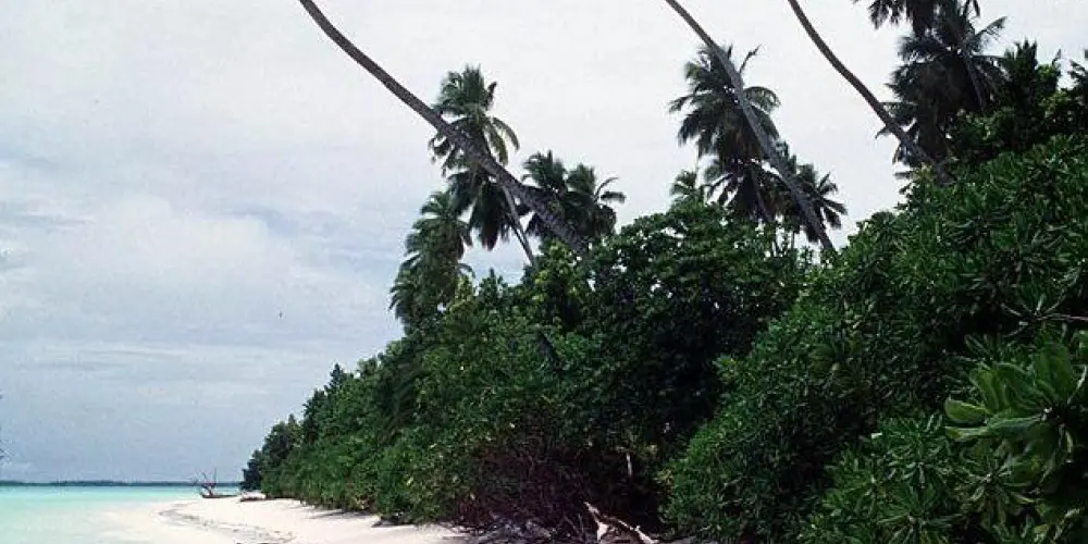 Imagem do grupo de WhatsApp ⊹ ࣪📜 ˖╰┈➤𝐅𝐈𝐂𝐇𝐀𝐒 ⌗.ᐟ