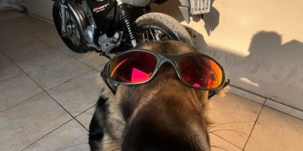 Imagem do grupo de WhatsApp 𝕺𝖘💯𝕸𝖆𝖑𝖉𝖆𝖉𝖊