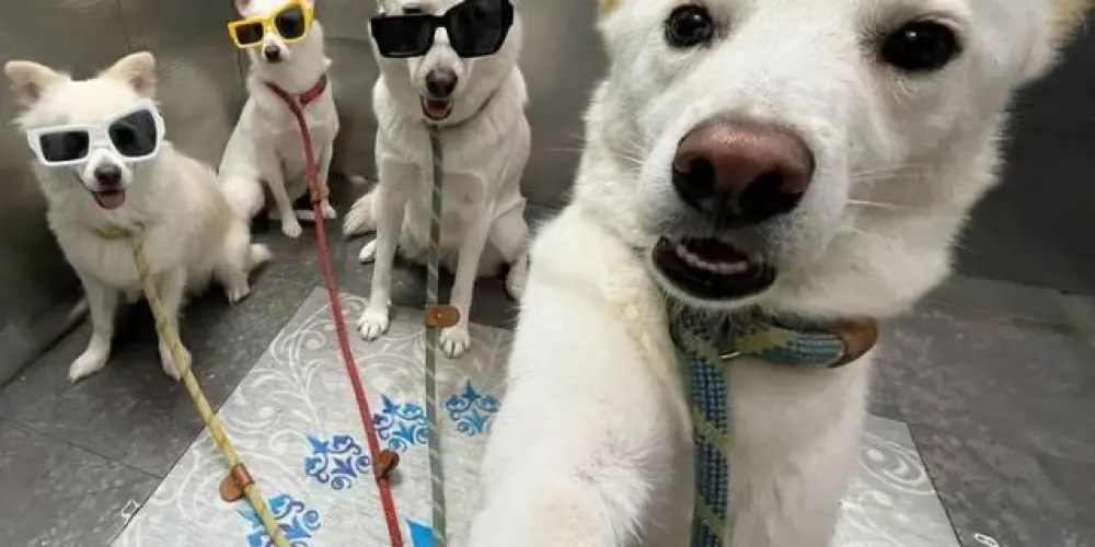 Imagem do grupo de WhatsApp 💯𝓁𝒾𝓂𝒾𝓉ℯ𝓈