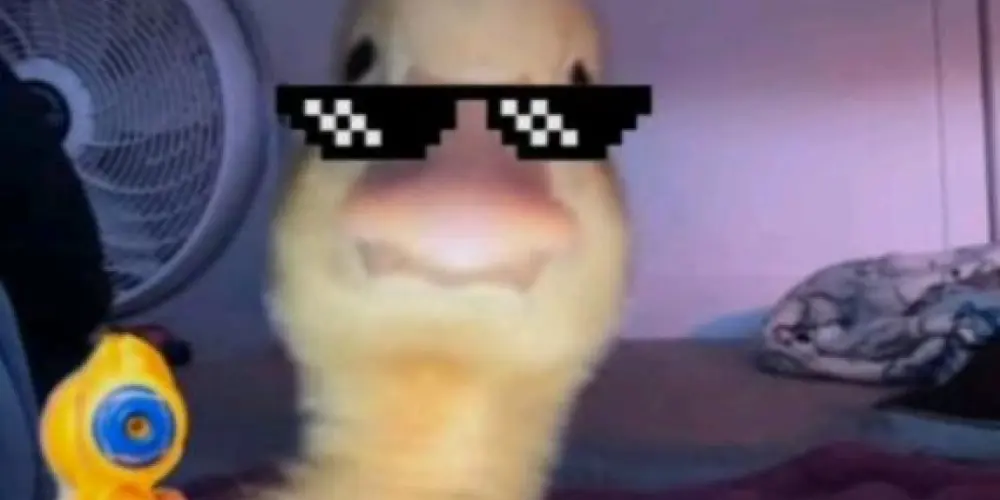 Imagem do grupo de WhatsApp 𝕺𝖘💯𝕸𝖆𝖑𝖉𝖆𝖉𝖊