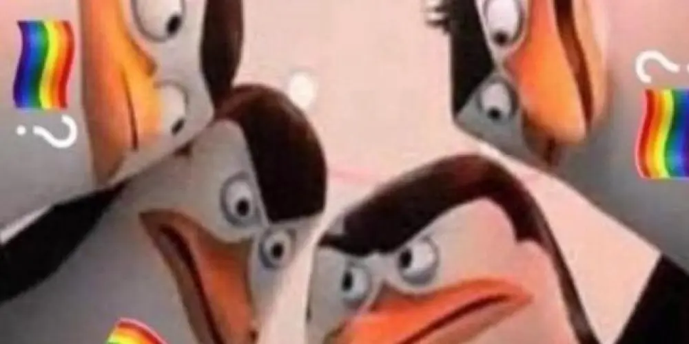 Imagem do grupo de WhatsApp 𝕴𝖑𝖍𝖆 𝖉𝖔𝖘 𝕯𝖊𝖚𝖘𝖊𝖘愛.