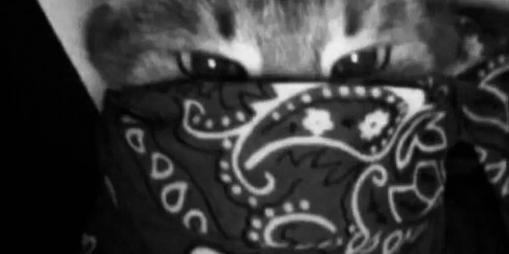 Imagem do grupo de WhatsApp ⛧ 𝓡𝓮𝓼𝓮𝓷𝓱𝓪 𝓽𝓸𝓽𝓪𝓵 𝓸𝓯𝓲𝓬𝓲𝓪𝓵 ⛧