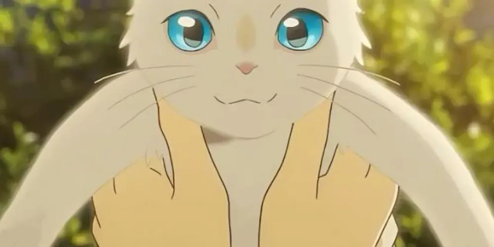 Imagem do grupo de WhatsApp ⏜۪ ۪  ̊  ̥🌨️ᮬᩫᰰ    𝐂𝚑𝚛𝚒𝚜𝚝𝚖𝚊𝚜  ✿֟፝᷼❀  𝙰᷼͝𝙽᷼͝𝙳 ❄️̷̸̫ᩙ  ꓷ𝗜⵿֟፝͞𝗦۫𝗖ִ𝖫݃𝖮᳟፝֟͞  𐇽̼𝆆✿  ִ ֺ ⛄̸̶̼ ׅ⃝ ࣪