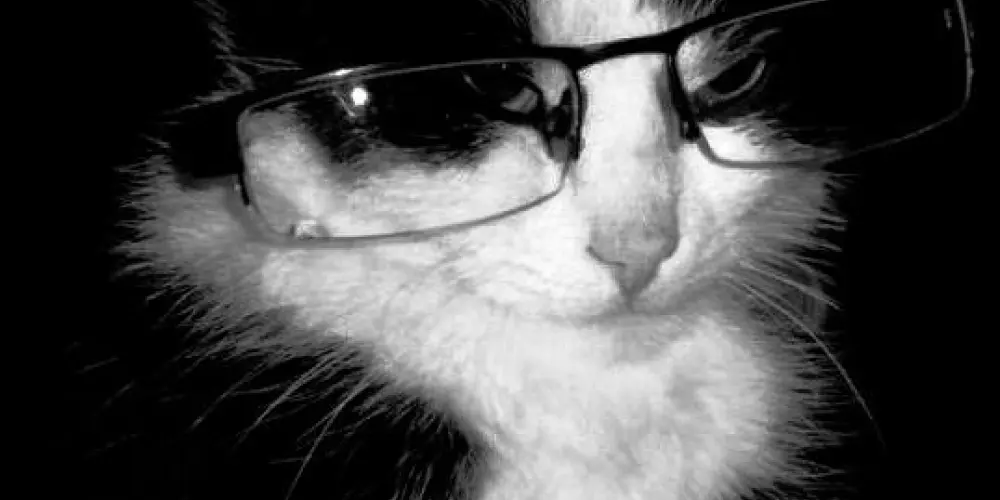 Imagem do grupo de WhatsApp 𝙉𝙚𝙩𝙬𝙤𝙧𝙠𝙞𝙣𝙜 𝙬𝙚𝙗