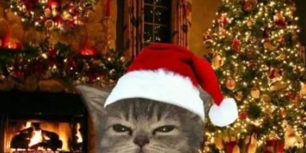 Imagem do grupo de WhatsApp 𖤐ᵕ⛄٭❄️˙•𝑨𝒏𝒐𝒓𝒎𝒂𝒊𝒔•˙❄️*☃️ᵕ𖤐