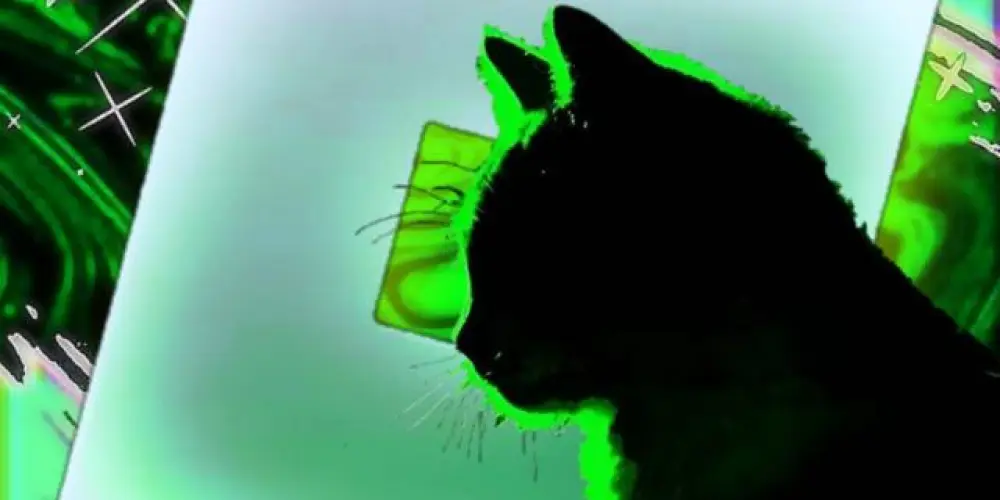 Imagem do grupo de WhatsApp ⁣♛ 𝐒𝐔𝐏𝐑𝐄𝐌𝐄 𓆩💎𓆪 𝐁𝐋𝐎𝐗 ♛