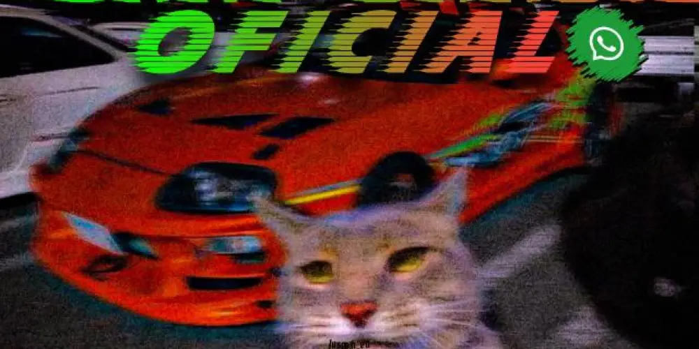 Imagem do grupo de WhatsApp 《𝑪𝑯𝑨𝑻》 《𝑩𝑹𝑨𝑺𝑰𝑳》 《𝑶𝑭𝑪》