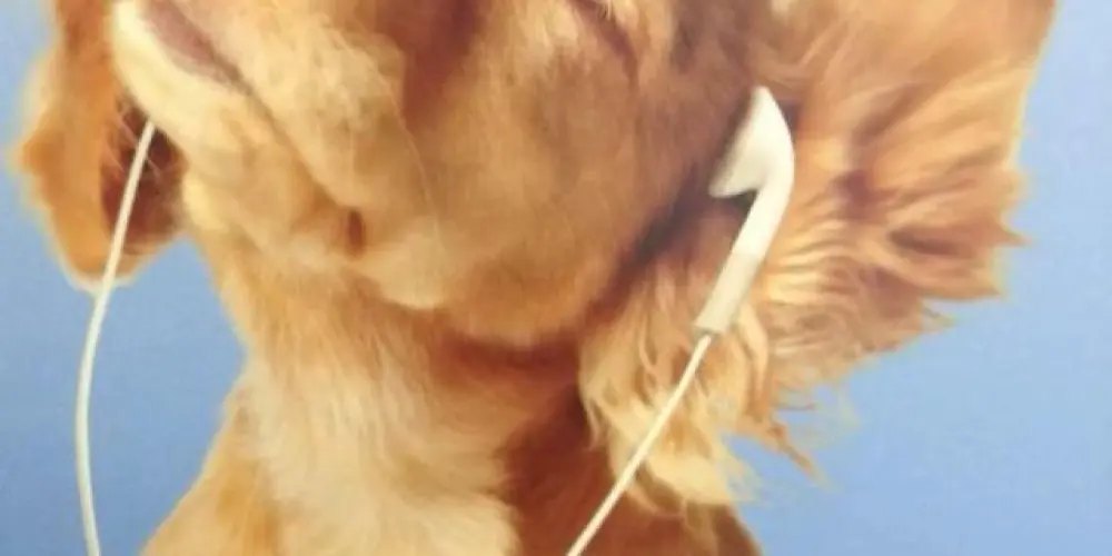 Imagem do grupo de WhatsApp 𝑆𝑢𝑟𝑡𝑜 𝐶𝑜𝑙𝑒𝑡𝑖𝑣𝑜 ♡