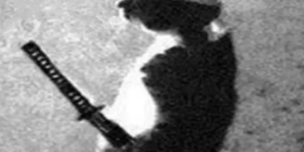 Imagem do grupo de WhatsApp 𝕺𝔰 𝕸𝔲𝔱𝔞𝔫𝔱𝔢𝔰❗🥷🏻