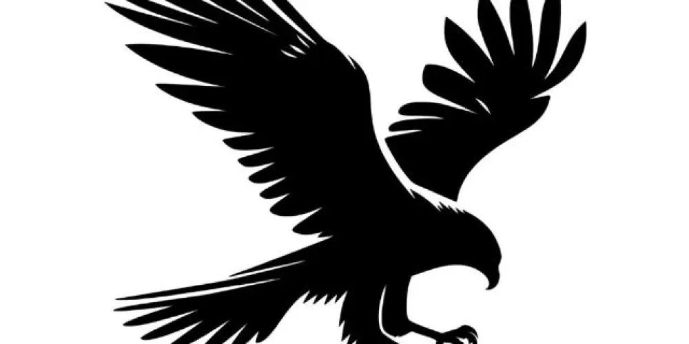 Imagem do grupo de WhatsApp 🦅 𝐄𝐐𝐔𝐈𝐏𝐄 𝐀𝐆𝐔𝐈𝐀 🦅