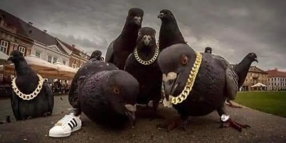 Imagem do grupo de WhatsApp ⸙ 𝝝𝗦 𝝗𝝘𝝞𝝛𝝙𝗗𝝝𝗦 ⸙