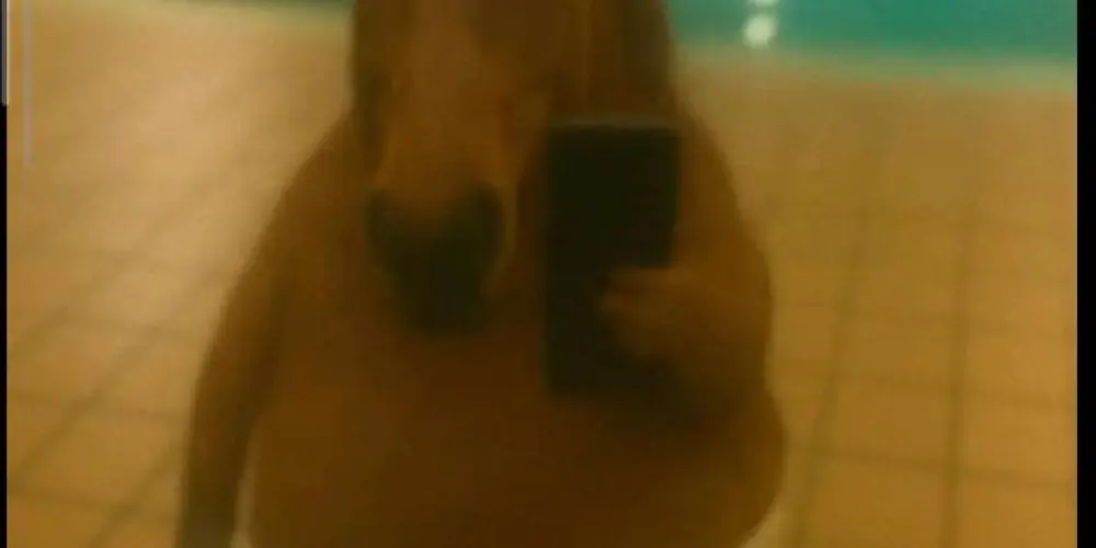 Imagem do grupo de WhatsApp ツﻬஐﻬ 🅾🆂 🆂🅴🅼 🅵🆄🆃🆄🆁🅾🆂 ﻬஐﻬツ