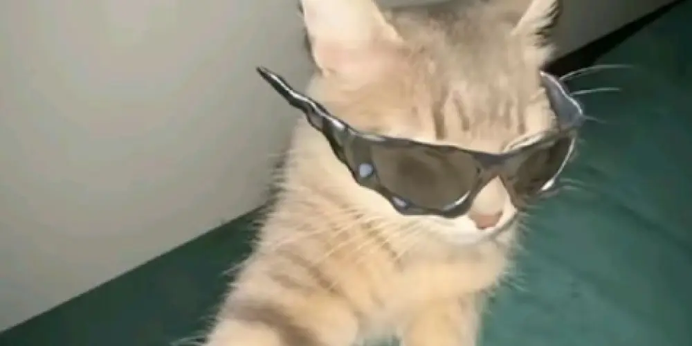 Imagem do grupo de WhatsApp ✨*𝓡𝓮𝓼𝓮𝓷𝓱𝓪 𝓥𝓘𝓟 𝓞𝓯𝓯𝓲𝓬𝓲𝓪𝓵* ✨