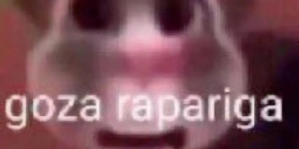 Imagem do grupo de WhatsApp ˏˋ°•*⁀➷ 𝐠𝐨𝐳𝐚 𝐲 𝐝𝐨𝐫𝐦𝐞