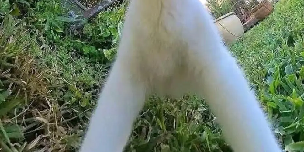 Imagem do grupo de WhatsApp 🌸✨ 𝑶𝒏𝒍𝒚𝑭𝒓𝒊𝒆𝒏𝒅𝒔 ✨🌸