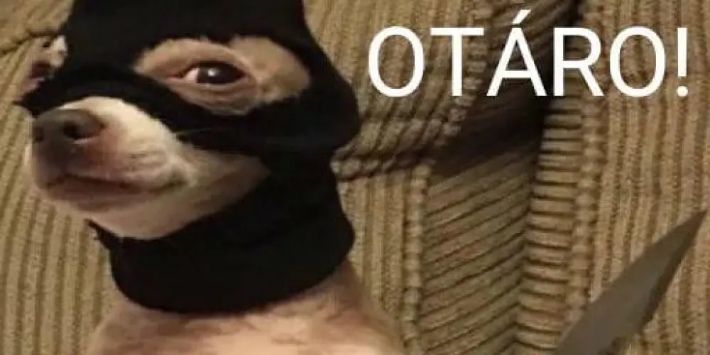 Imagem do grupo de WhatsApp ꧁༻𝙵𝙸𝙶𝚄𝚁𝙸𝙽𝙷𝙰𝚂 𝟸𝟺𝙷༺꧂