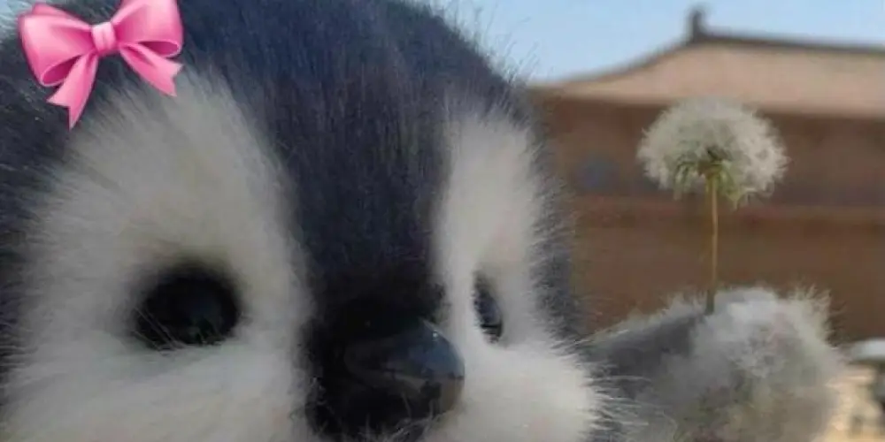 Imagem do grupo de WhatsApp ꧁𝙵𝙰𝙱𝚁𝙸𝙲𝙰 𝙳𝙴 𝙵𝙸𝙶𝚄𝚁𝙸𝙽𝙷𝙰𝚂꧂