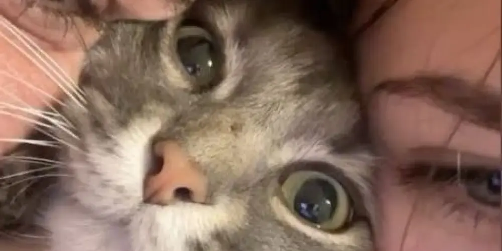 Imagem do grupo de WhatsApp 𝓌ℯ𝒷 𝓃𝒶𝓂ℴ𝓇ℴ 𝓇ℴ𝓂𝒶𝓃𝒸ℯ