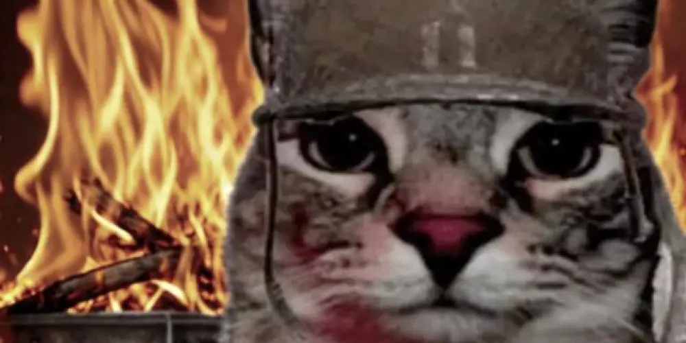 Imagem do grupo de WhatsApp ⧼" 🌴 𝟤Ⴙ ♬ 𝐇✆尺⋀丂 🌴 ◌​᭄