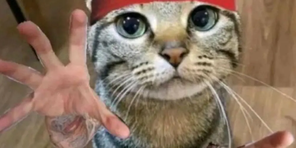 Imagem do grupo de WhatsApp 🄰🄼🄸🅉🄰🄳🄴🅂 🅀🅄🄴 🄿🄾🄳🄴 🅂🄴🅁 🄲🄾🄻🄾🅁🄸🄳🄰🅂