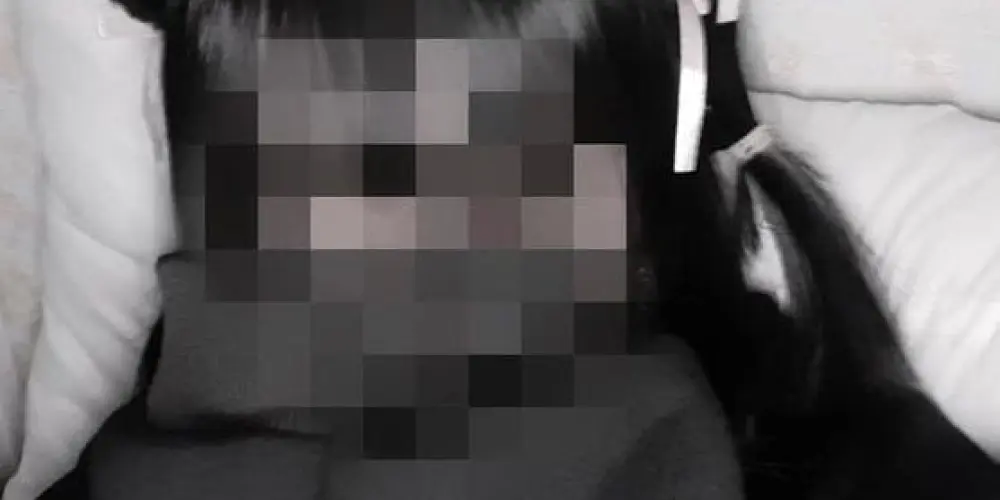 Imagem do grupo de WhatsApp ⏤͟͟͞͞𝕯𝐀𝐑𝐊͢ 𝐖𝐄𝐁⃟👾