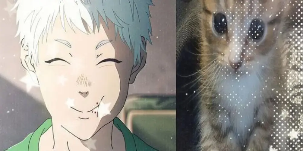 Imagem do grupo de WhatsApp ꧁☆𝕜𝕡𝕠𝕡 𝕒𝕞𝕚𝕫𝕒𝕕𝕖𝕤 ☆꧂